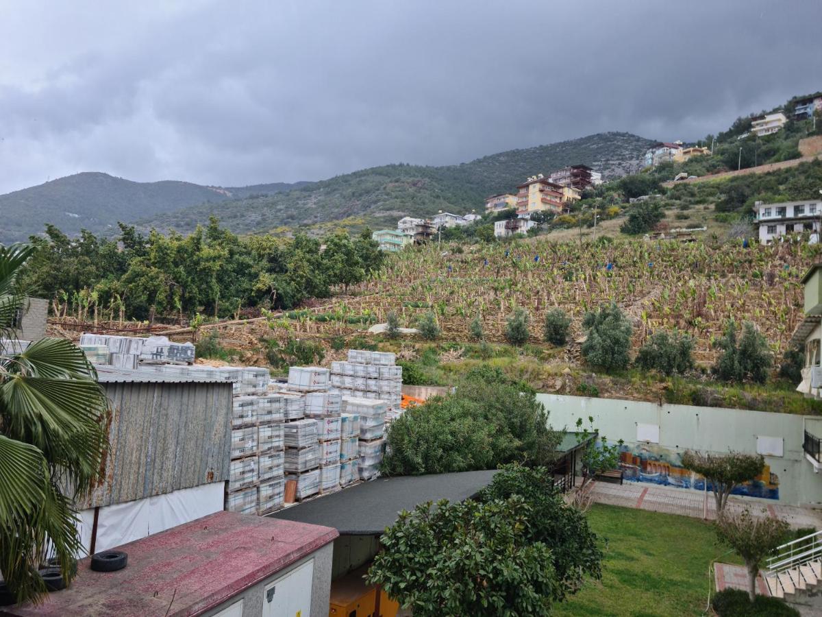 Apartament Kleopatra Sultan Rezidans Alanya Zewnętrze zdjęcie